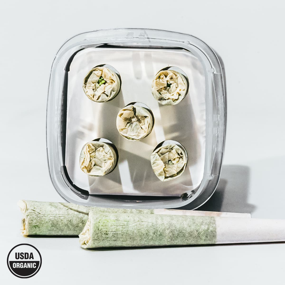 Dog Walkers Indica Pre-Rolls in hand