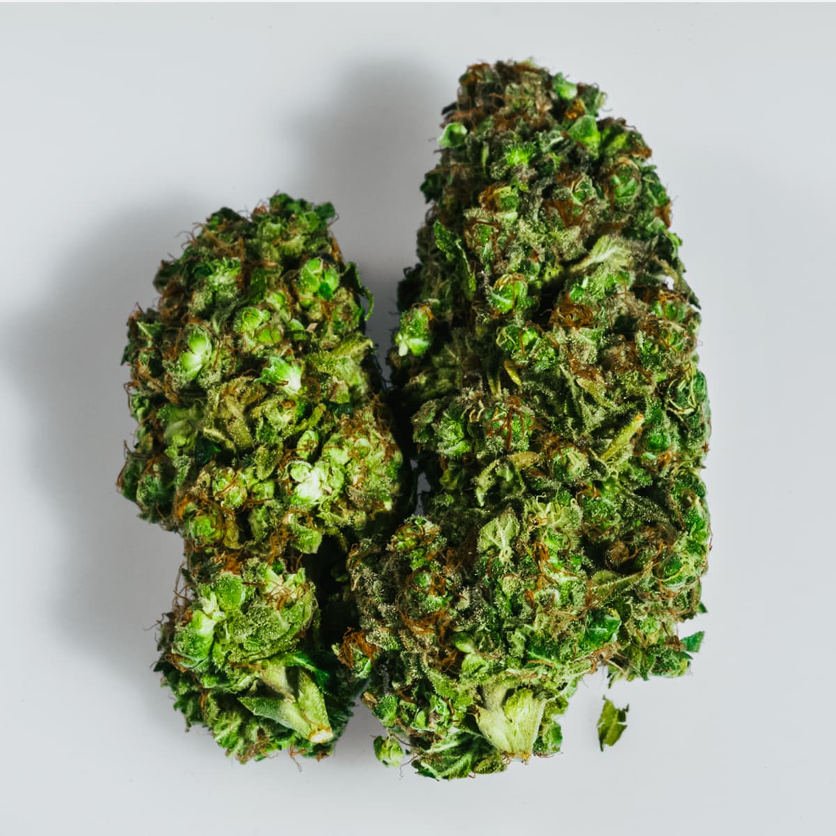 Tangerine Dream
