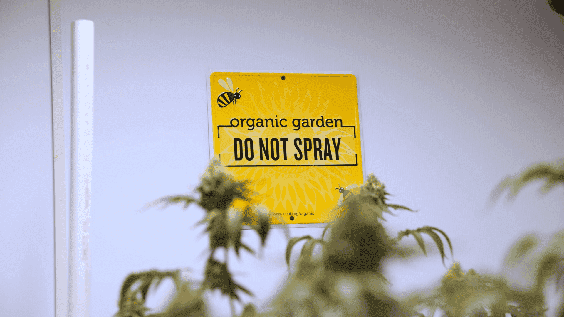 Certified Organic Sign Displaying "Do not Spray" on Pure Roots Botanicals Farm