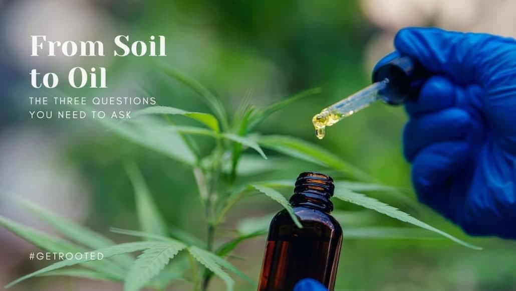 CBD oil drops
