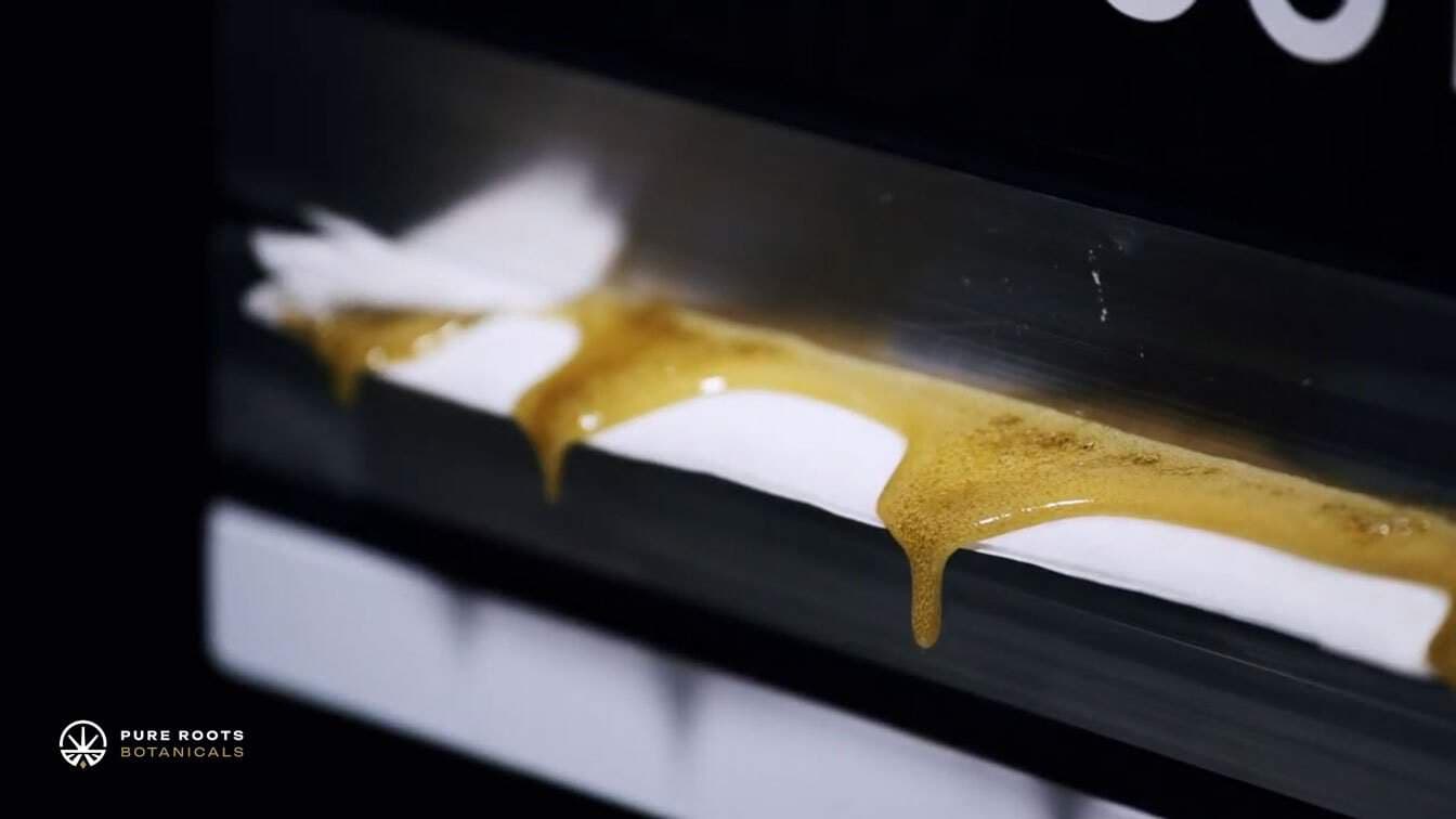 Ben next to the Press that squeezes out USDA Certified Organic Live Rosin Concentrate