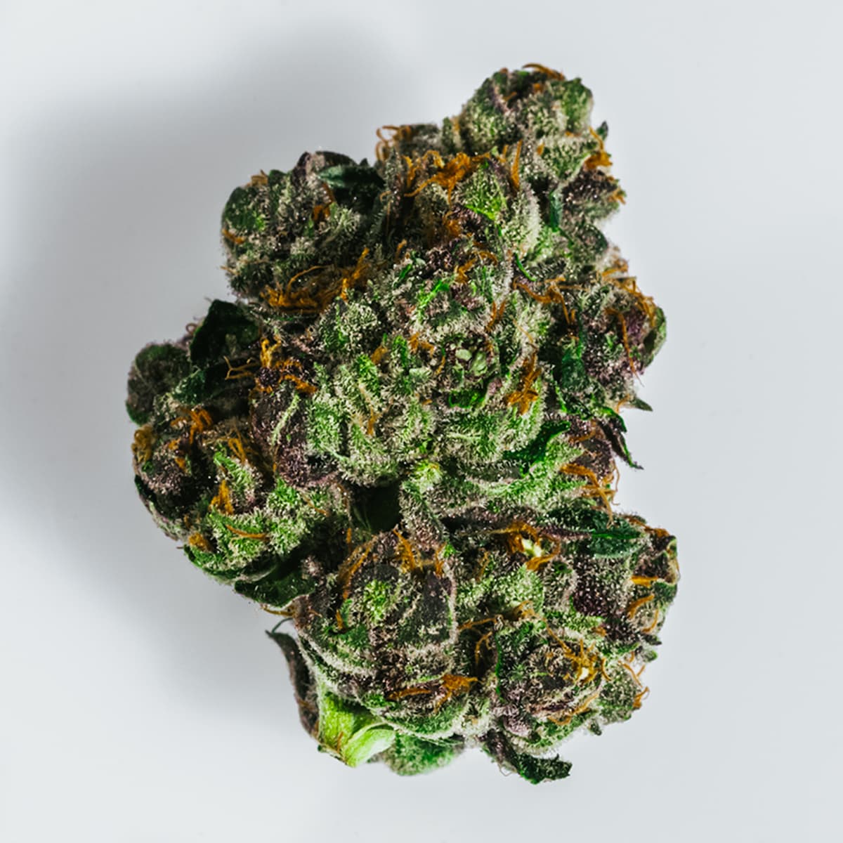 All Gas OG
