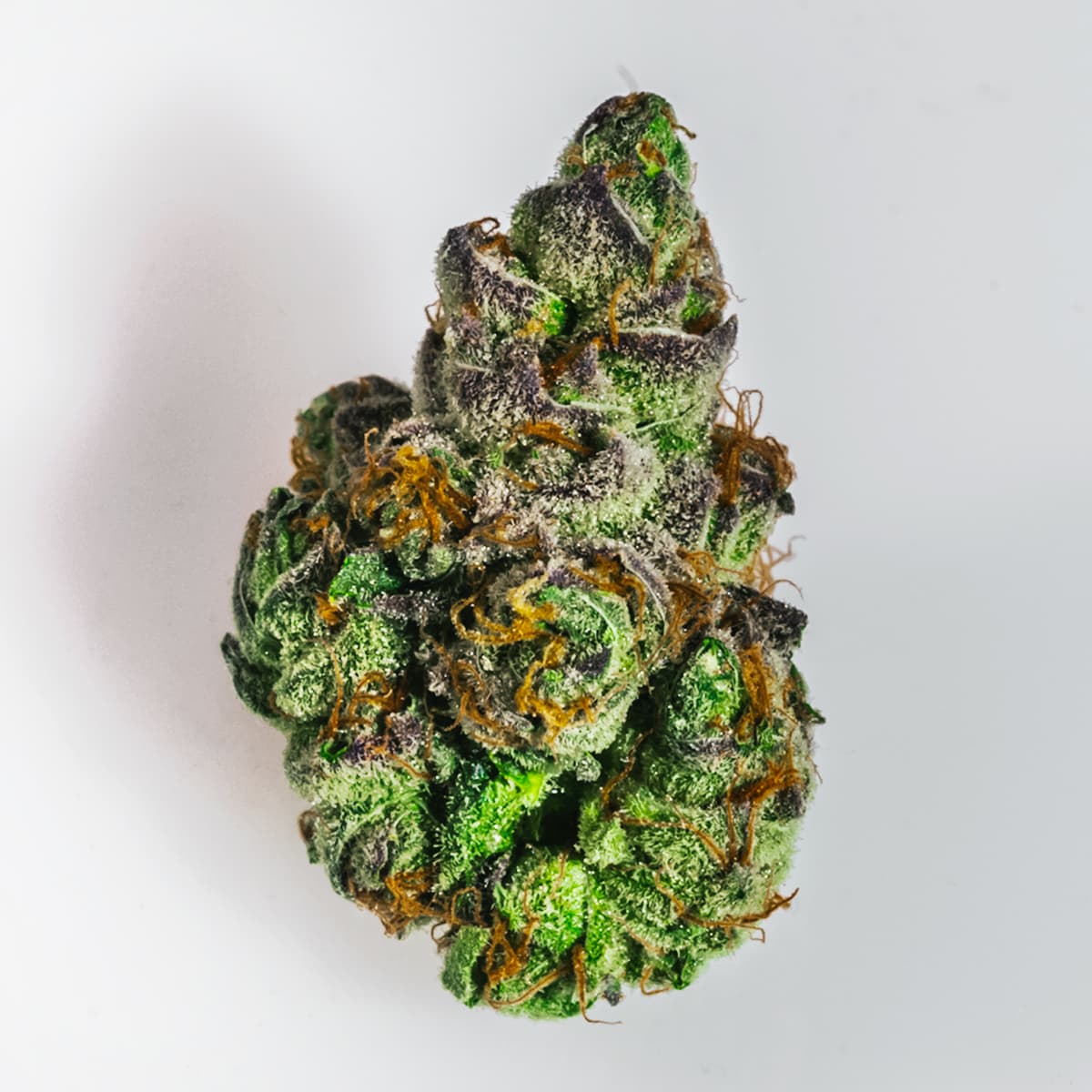 Astro Pop โ image 1