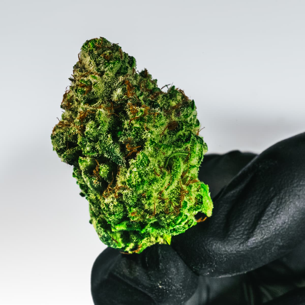 Monkey Breath in hand