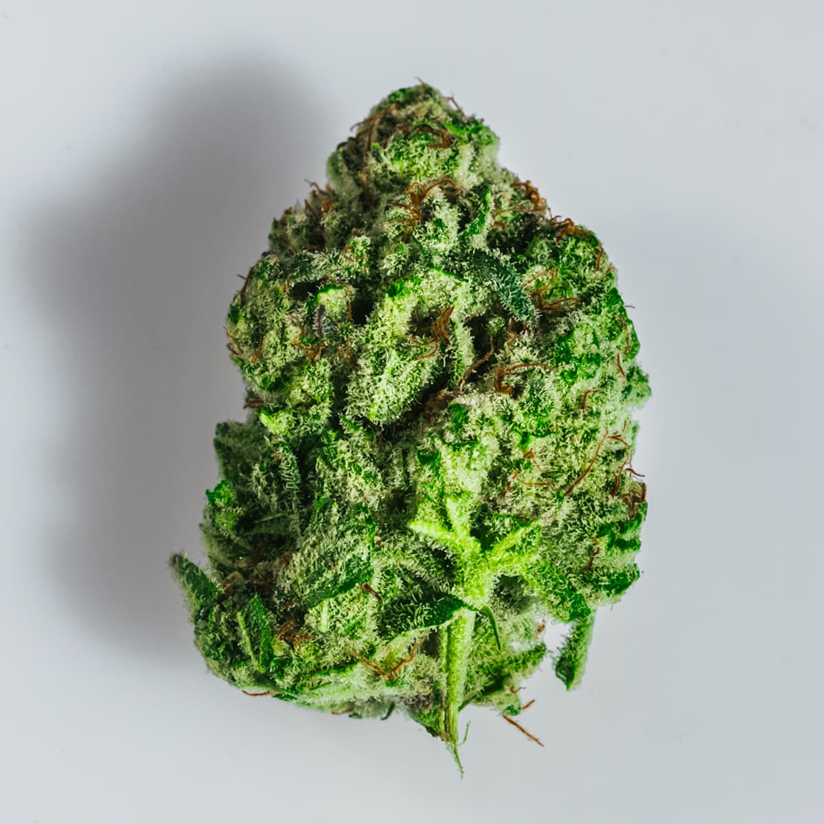 Monkey Breath