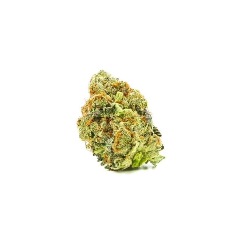 Close-up of Astro Pop hemp bud on a white background, showcasing the strain's dense, frosty trichomes and vibrant green and orange hues.