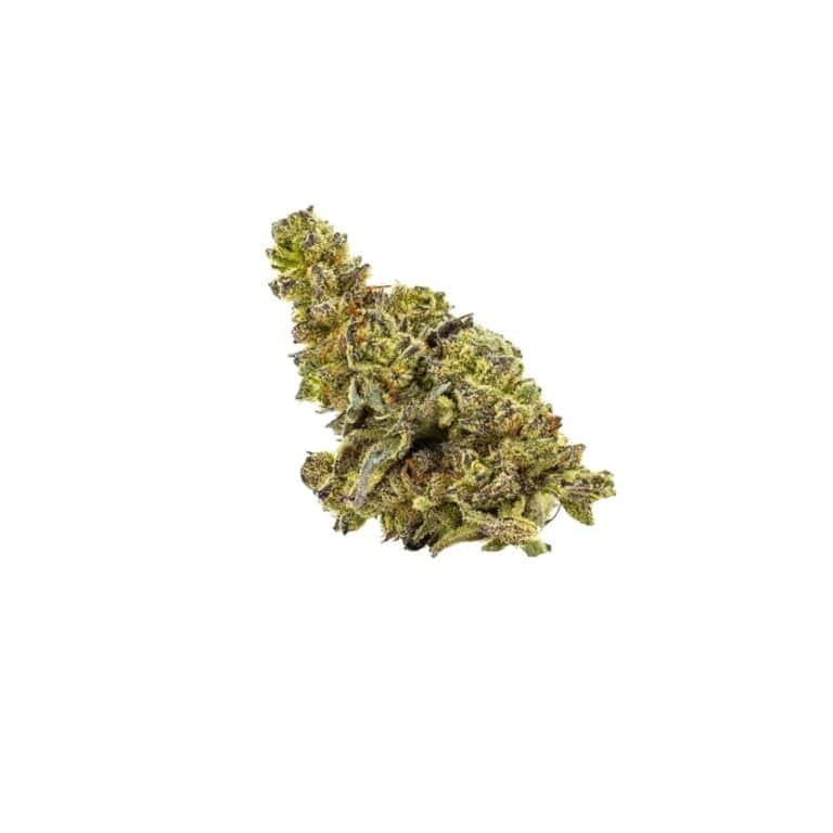 Close-up of Blackberry Truffle hemp bud on a white background, showcasing its dense structure and vibrant purple and green tones