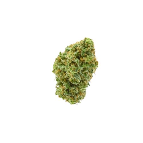 Durban Poison Bud