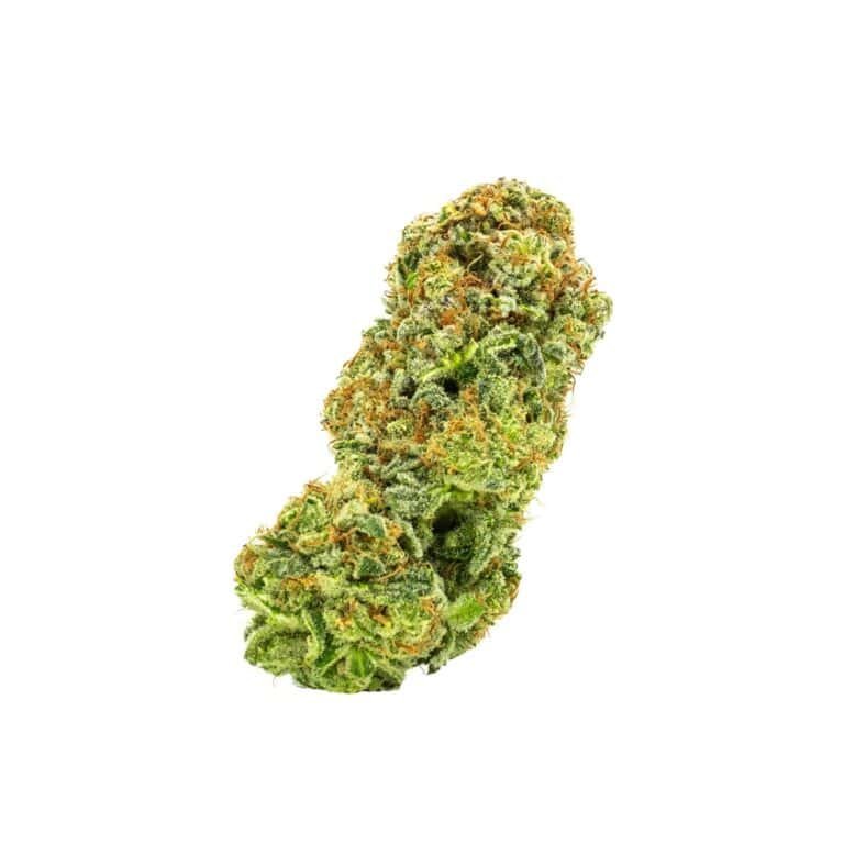 Close-up of Headband hemp bud on a white background, highlighting its dense structure and vibrant green hues.