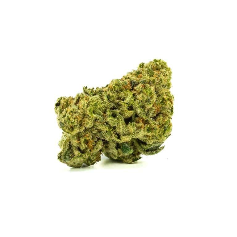 Close-up of Monkey Breath hemp bud on a white background, highlighting its frosty trichomes and vibrant green and orange tones.