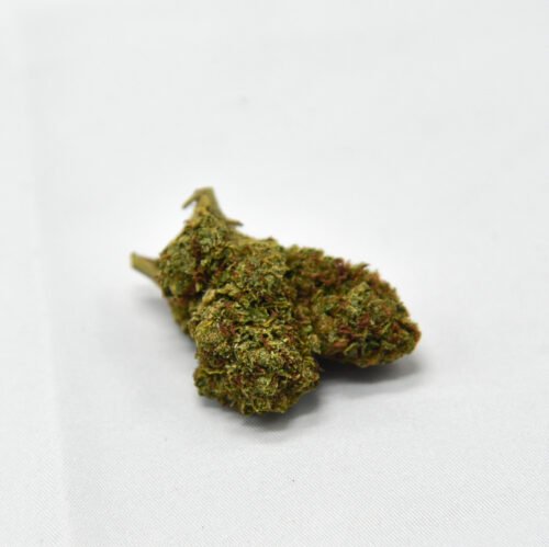 Blue Dream THCA flower bud