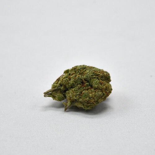 Candy Jack THCA Flower Bud