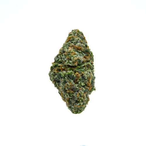 Guava Cream THCA Flower Bud