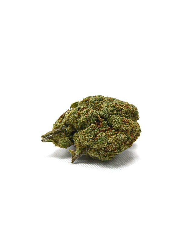 Candy Jack
