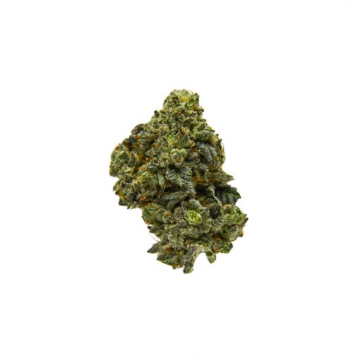 Frosted Strawberry Frost THCA flower bud floating against a clean background, displaying rich trichomes and vivid detail.