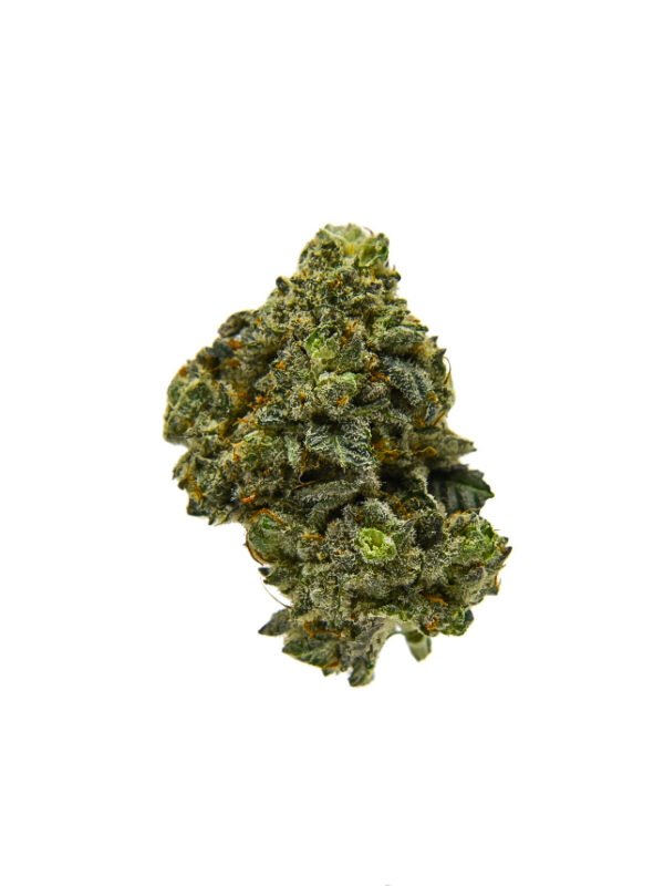 Frosted Strawberry Frost THCA flower bud floating against a clean background, displaying rich trichomes and vivid detail.