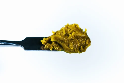 Blackberry Truffle Live Rosin concentrate by Pure Roots Botanicals, golden solventless extract on a dab tool