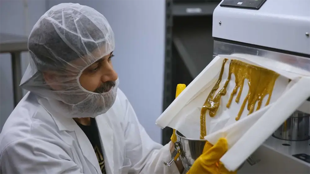 Pure Roots Botanicals owner pressing USDA Certified Organic live rosin using a solventless rosin press