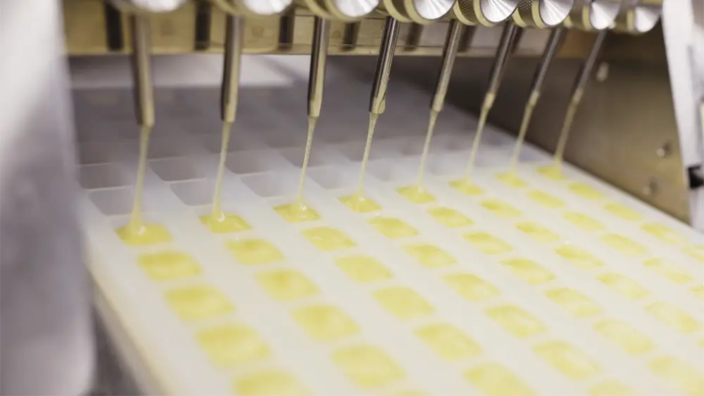 Close-up of small-batch Delta-9 gummy production at Pure Roots Botanicals using precision-filling equipment